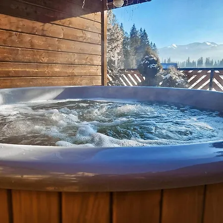 Drewniany Krokus Tatil Evi Witów