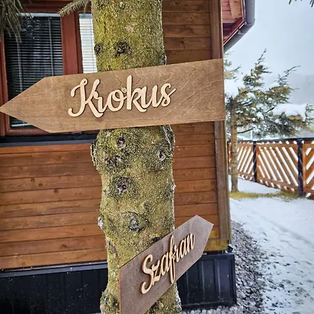 Drewniany Krokus Tatil Evi Witów