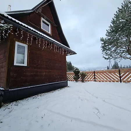 Drewniany Krokus Witow (Tatra)
