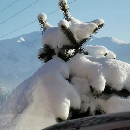 Tatil Evi Drewniany Krokus