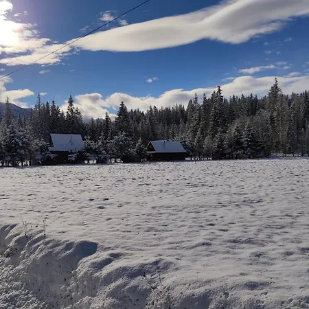 Drewniany Krokus Witów