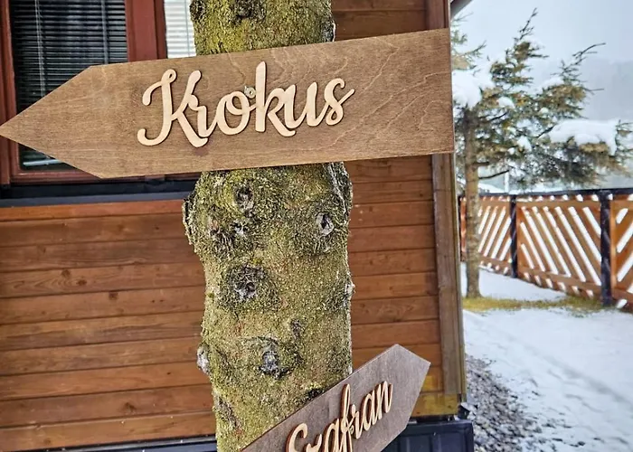 Drewniany Krokus Сasa de vacaciones Witów