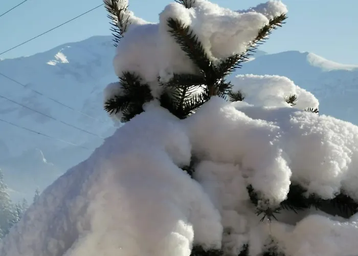 Сasa de vacaciones Drewniany Krokus